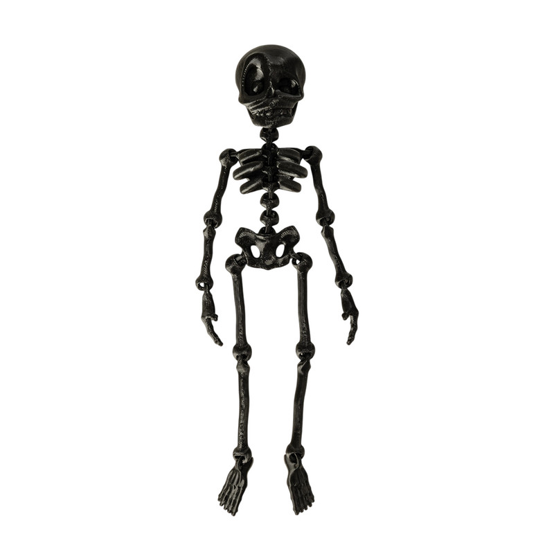 Skeleta magnēts