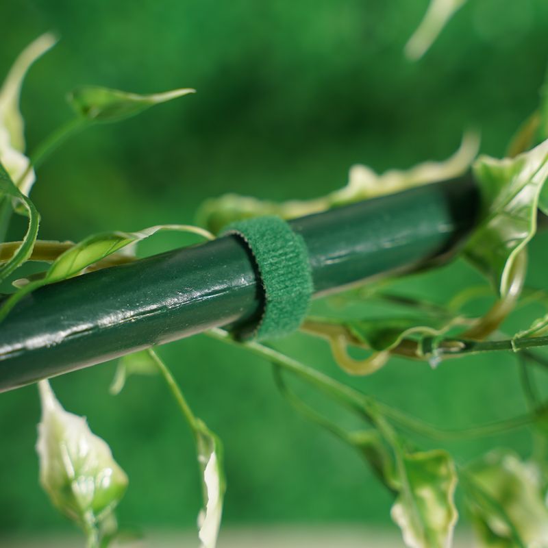 Stiprinājumi augu piesiešanai, 5 m