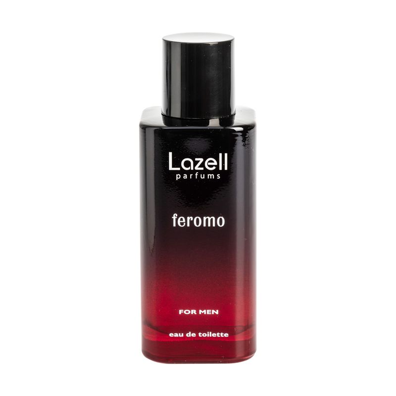 Tualetes ūdens vīriešiem Lazell, 100 ml