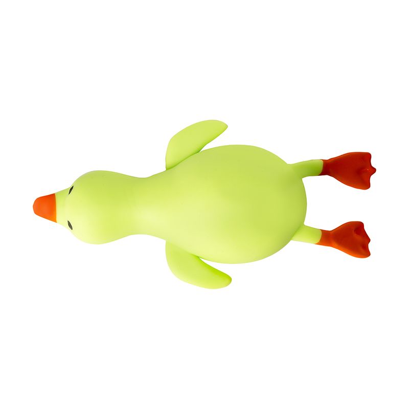 Nūrciņš, zoss