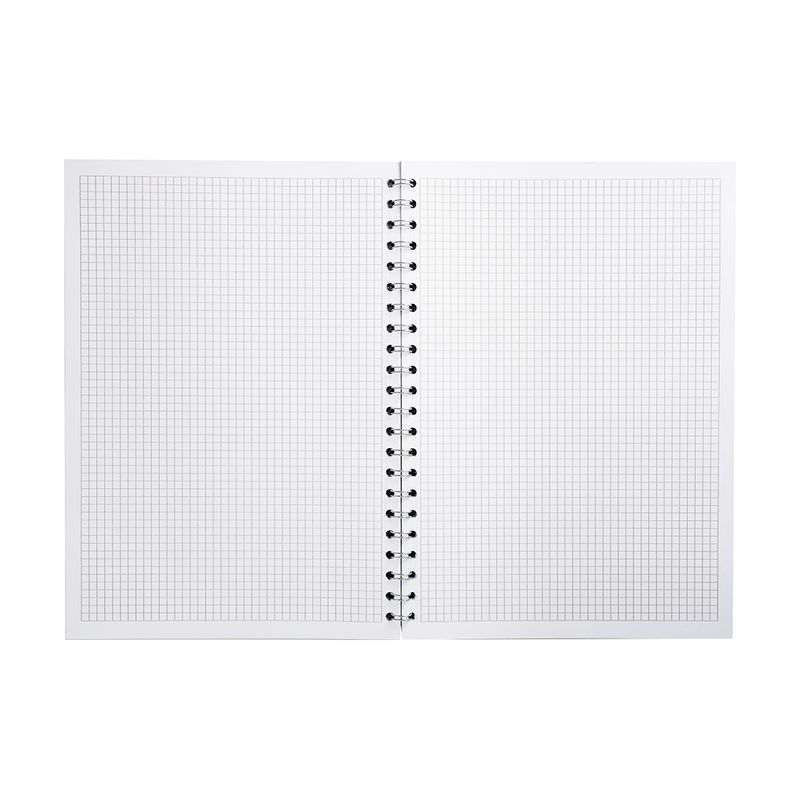 Klade ar spirali, A4, 80 lapas