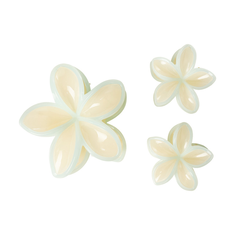Matu sprādze 2,5 cm; 4,5 cm, 1 gab