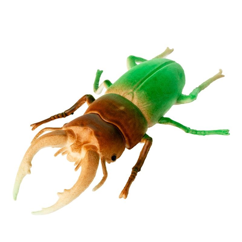 Augoša rotaļlieta, vabole