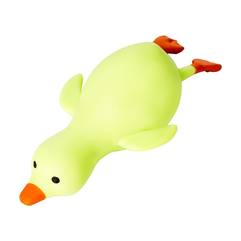 Nūrciņš, zoss