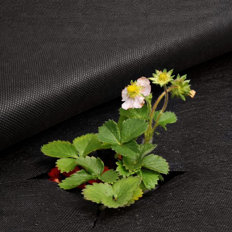 Audums mulčēšanai, 1.5x1.5 m