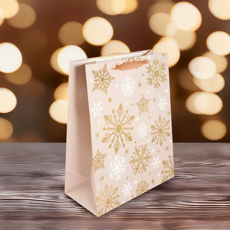 Dāvanu maisiņš, 26x32x12 cm