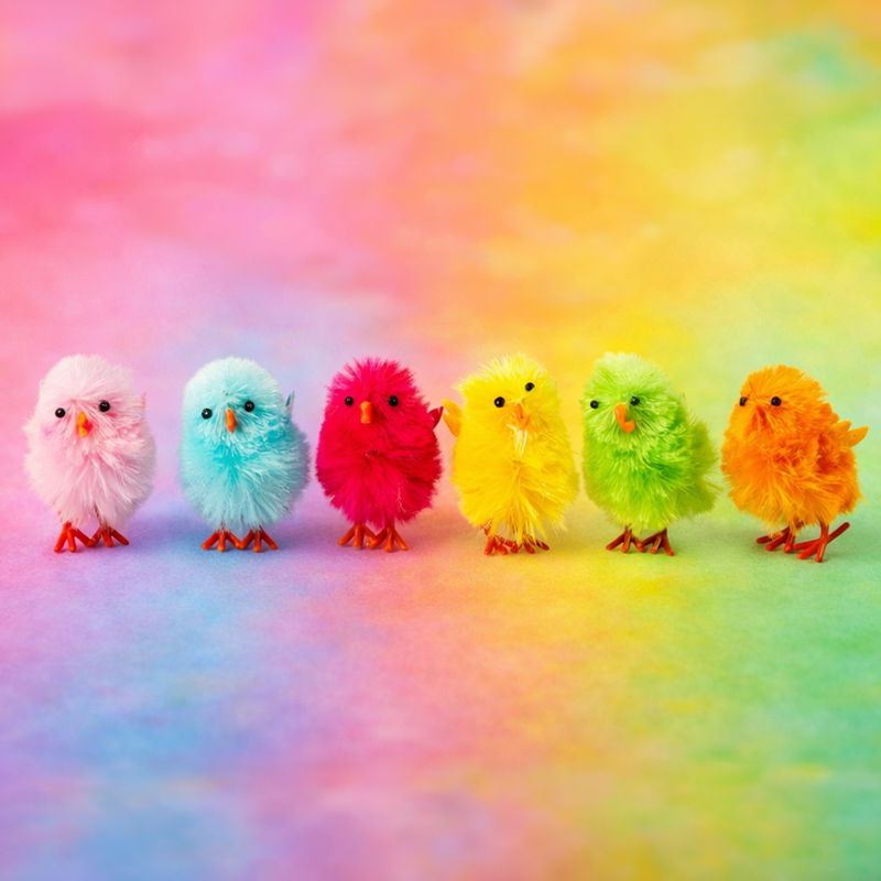 Dekoratīvo cāļu komplekts, 6 gab.