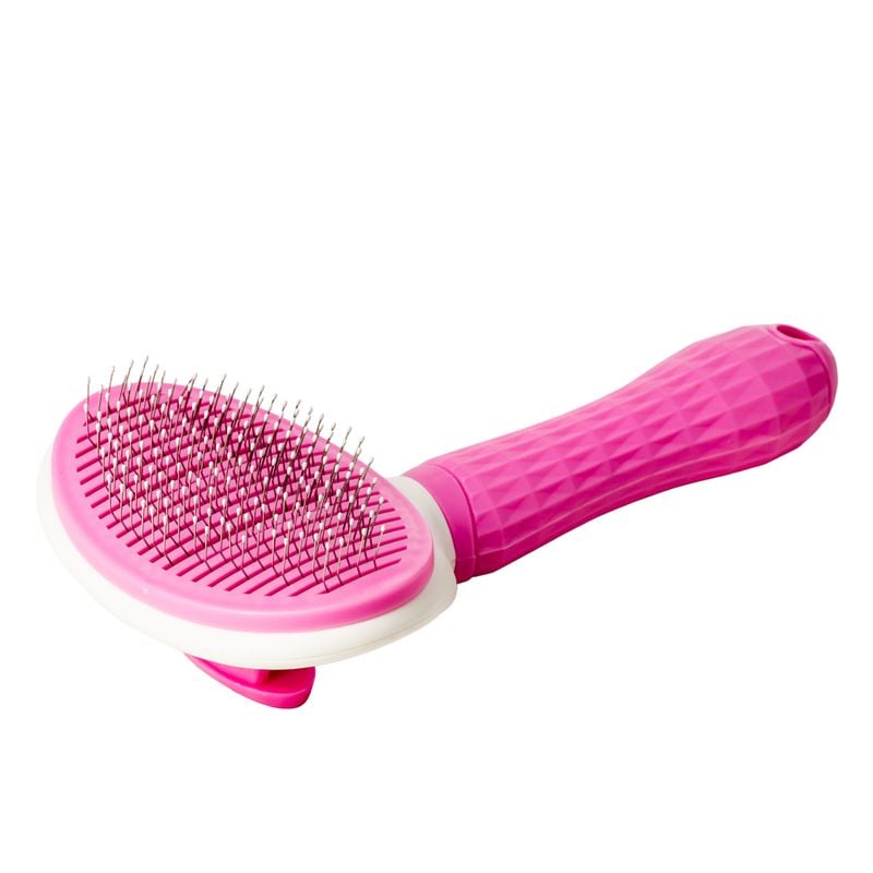 Ķemme mājdzivniekiem